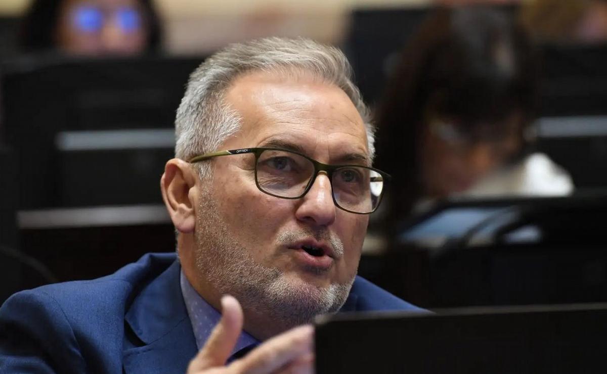 El senador nacional por Santa Fe, Marcelo Lewandowski.