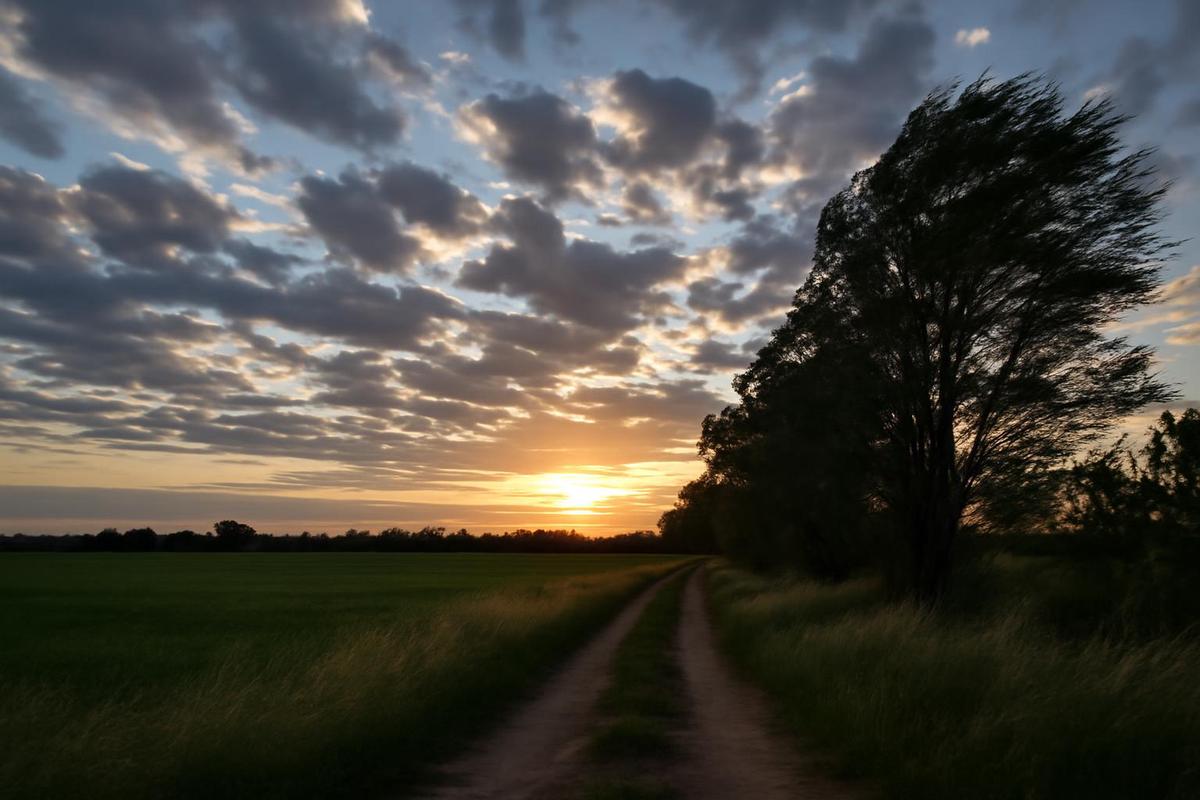 Estado del tiempo en Mendoza para el domingo 1 de febrero