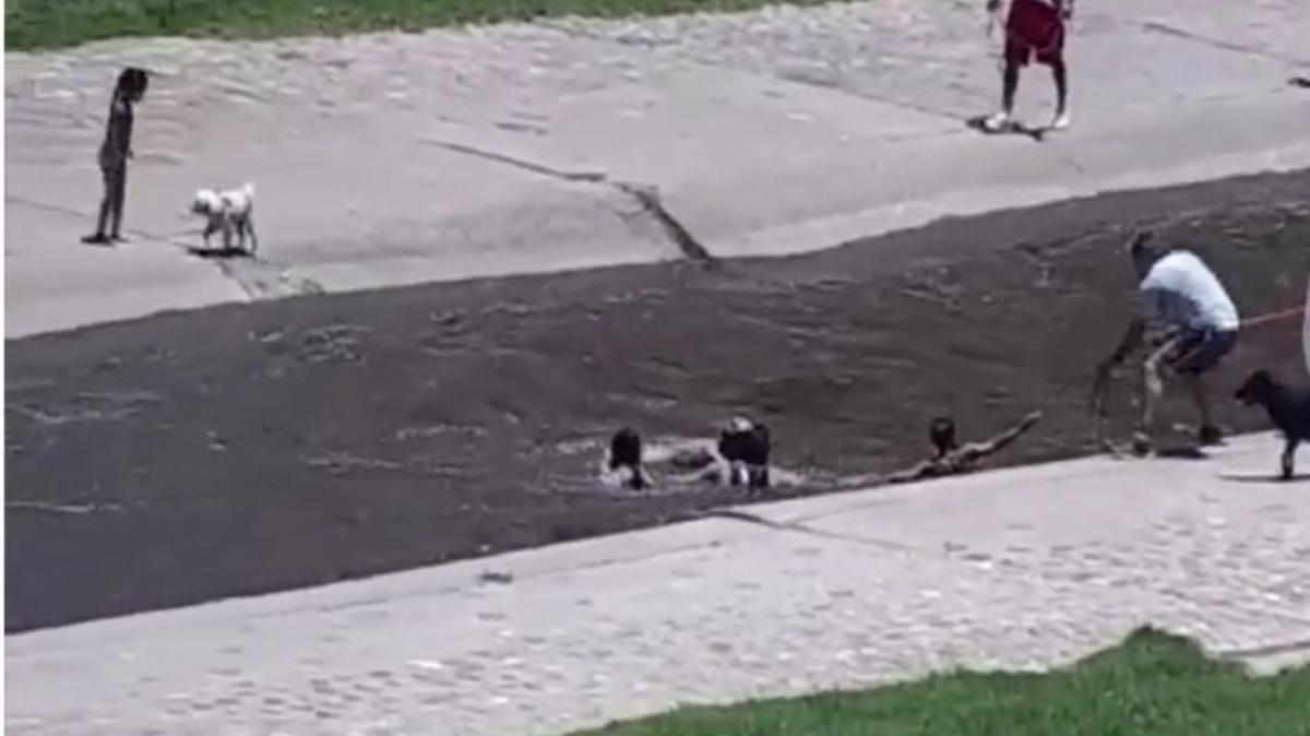 FOTO: Dos niños fueron rescatados del Río Suquía.