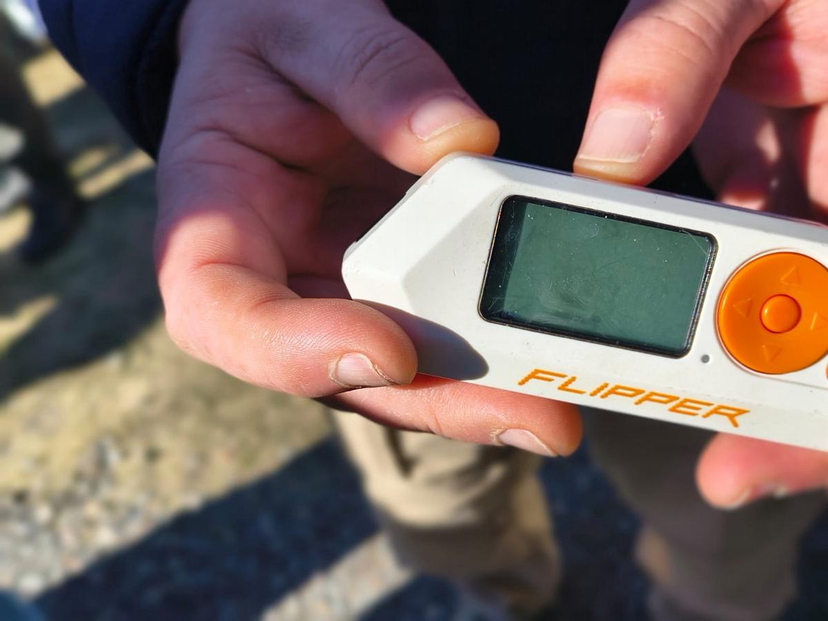 Autos de lujo, joyas y diamantes: cayó banda que usaba inhibidores para robos.