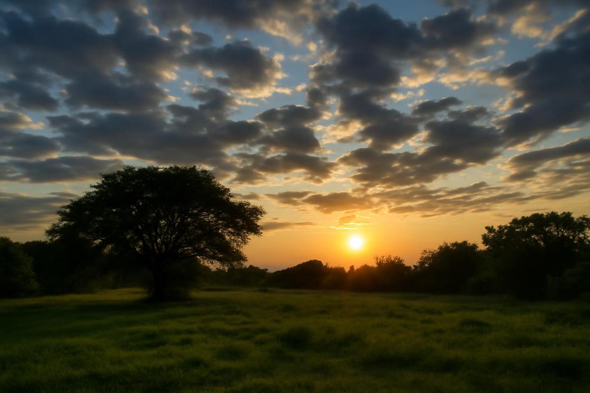 Clima en Tucumán: lluvias y tormentas para el 28 de diciembre