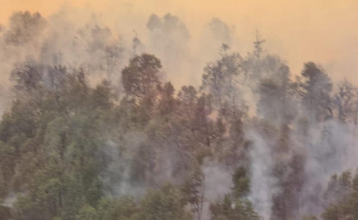 FOTO: Sigue activo el incendio en el sur del Parque Nacional Nahuel Huapi.