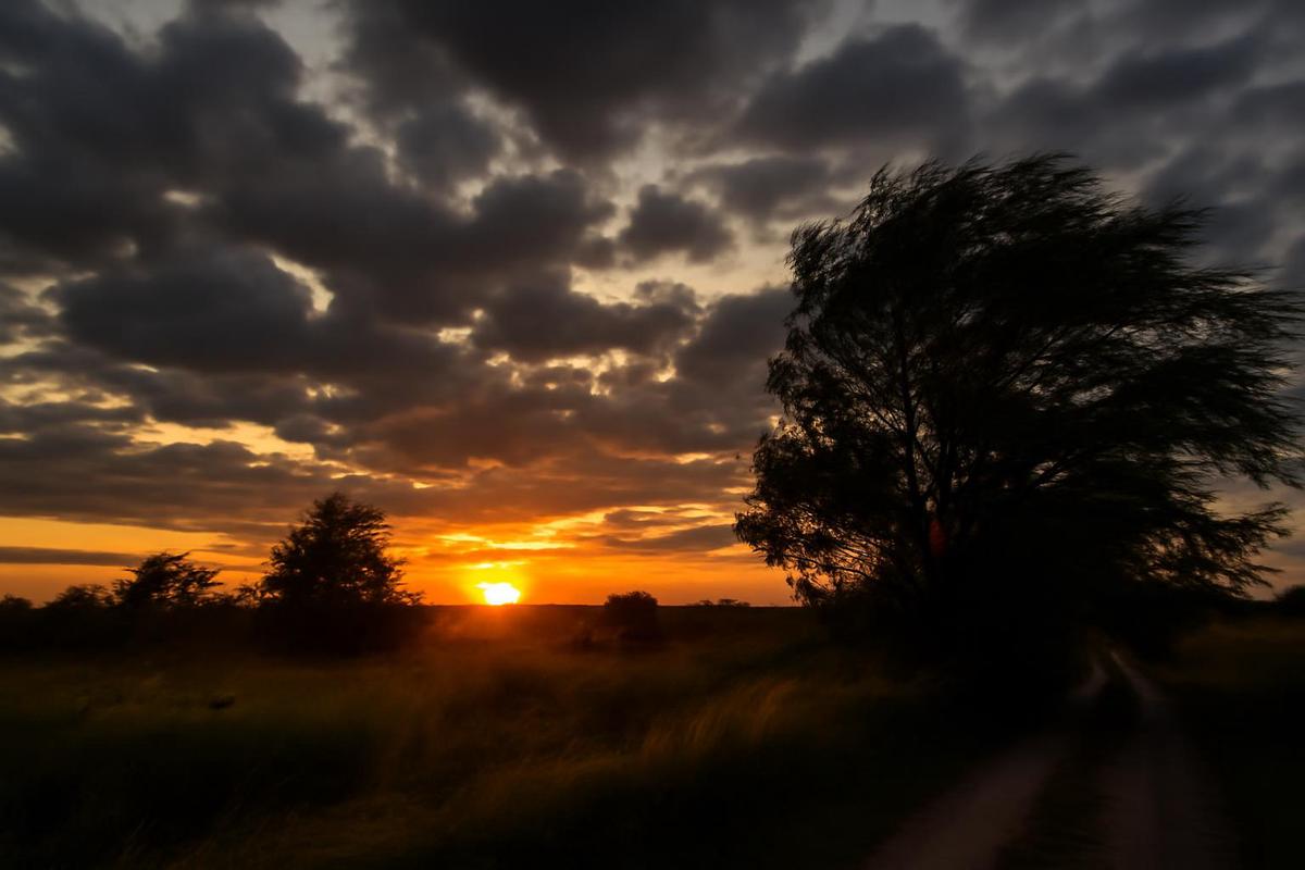 Tormentas y lluvias en Rosario este martes 3 de marzo