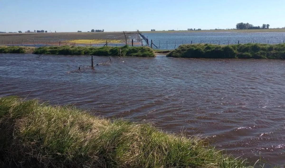 Productores de Bragado denuncian inacción municipal ante crisis de inundaciones
