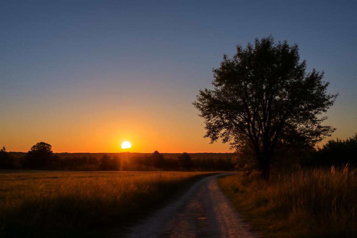 Clima en Tucumán: pronóstico del tiempo para el 18 de diciembre