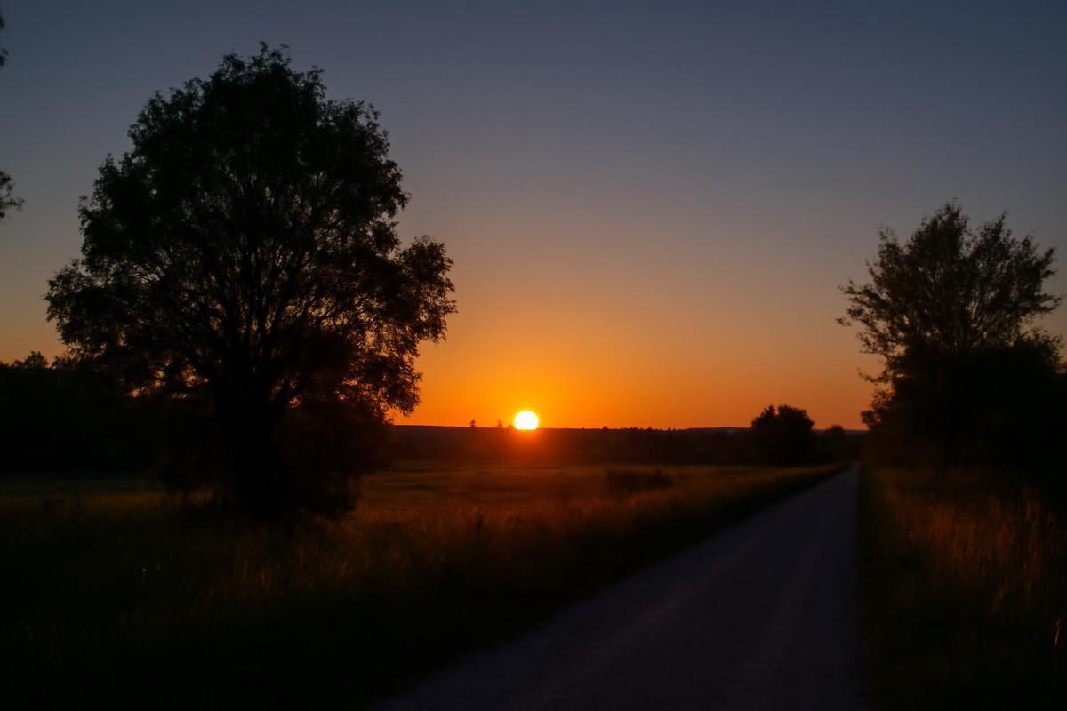 Clima en Mendoza: pronóstico del tiempo para el 12 de diciembre