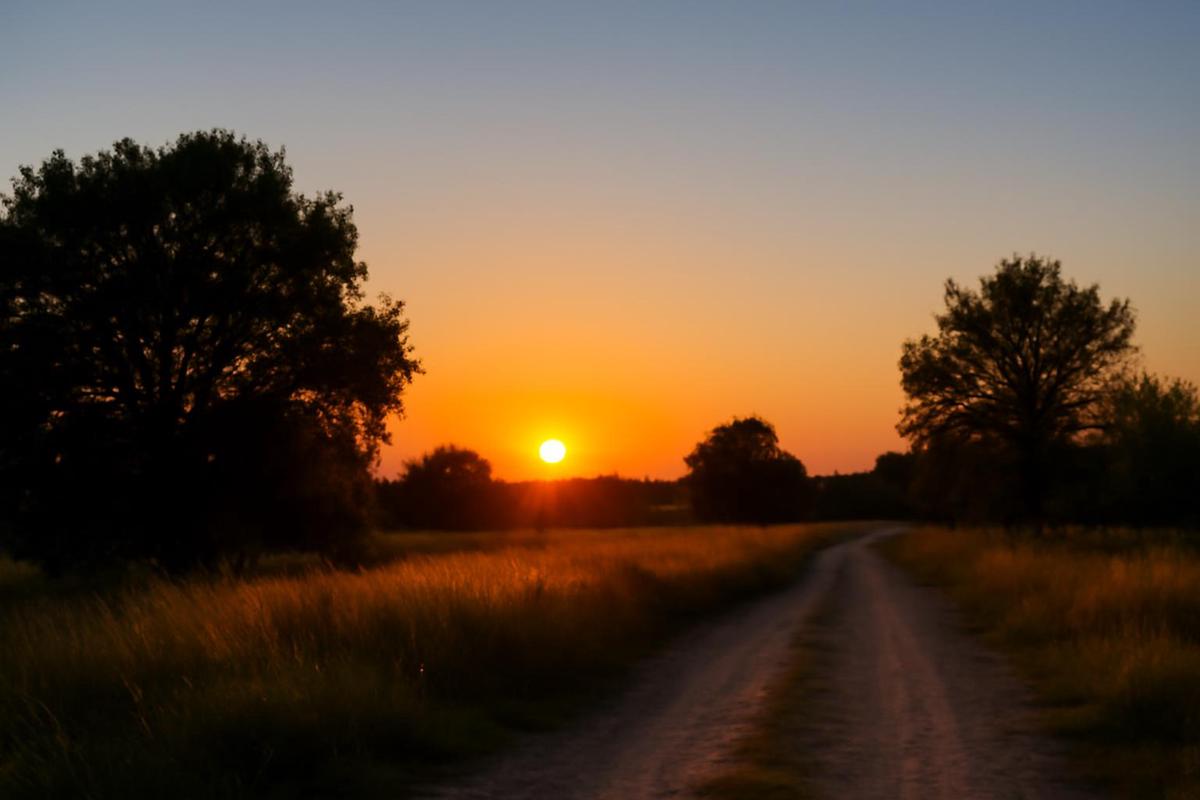 Clima en Mendoza: pronóstico del tiempo para el 5 de diciembre