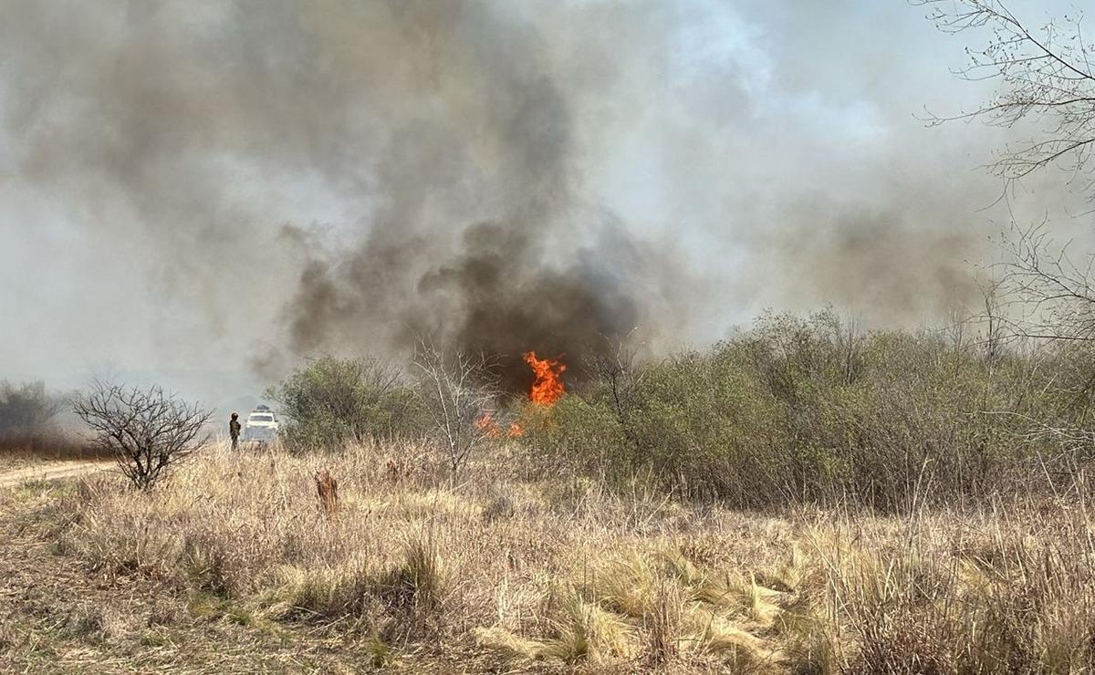 FOTO: Incendio cerca de la autopista Córdoba-Carlos Paz. (Celeste Benecchi/Cadena 3)