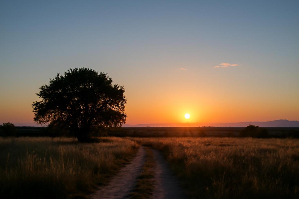 Clima en Salta: pronóstico del tiempo para el 26 de julio