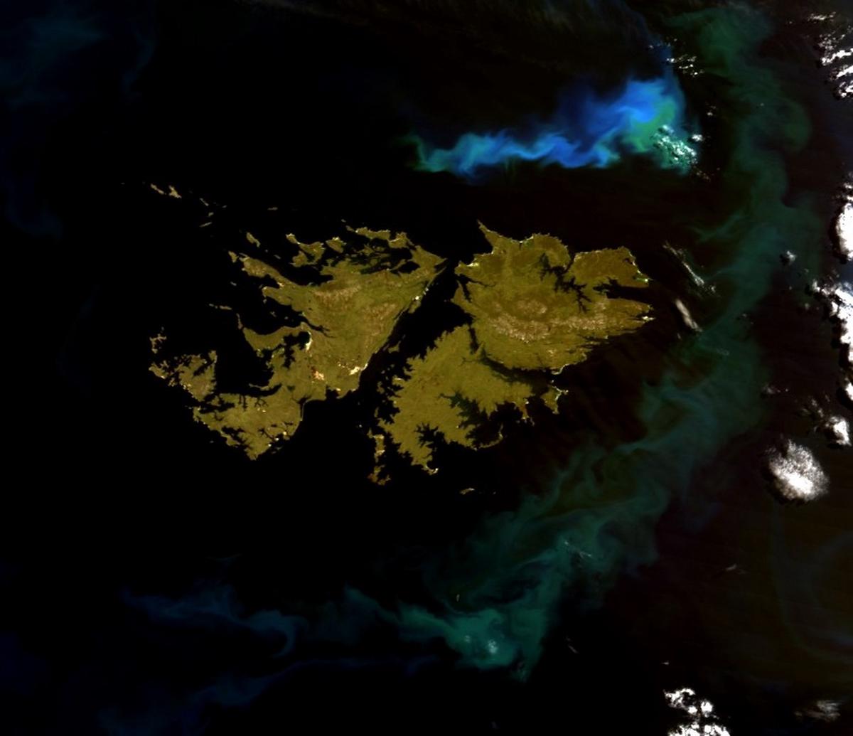 ¿Dónde está el Messi de Malvinas?