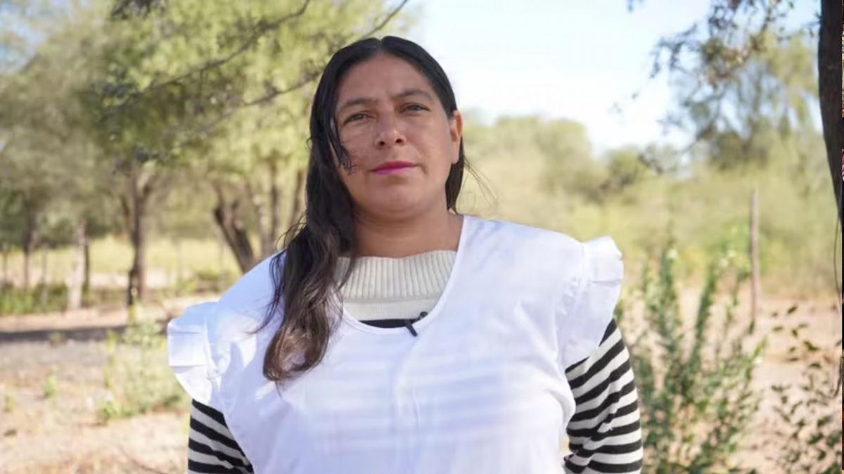 FOTO: Gloria Cisneros, la maestra del paraje La Sara (Foto: Infobae)