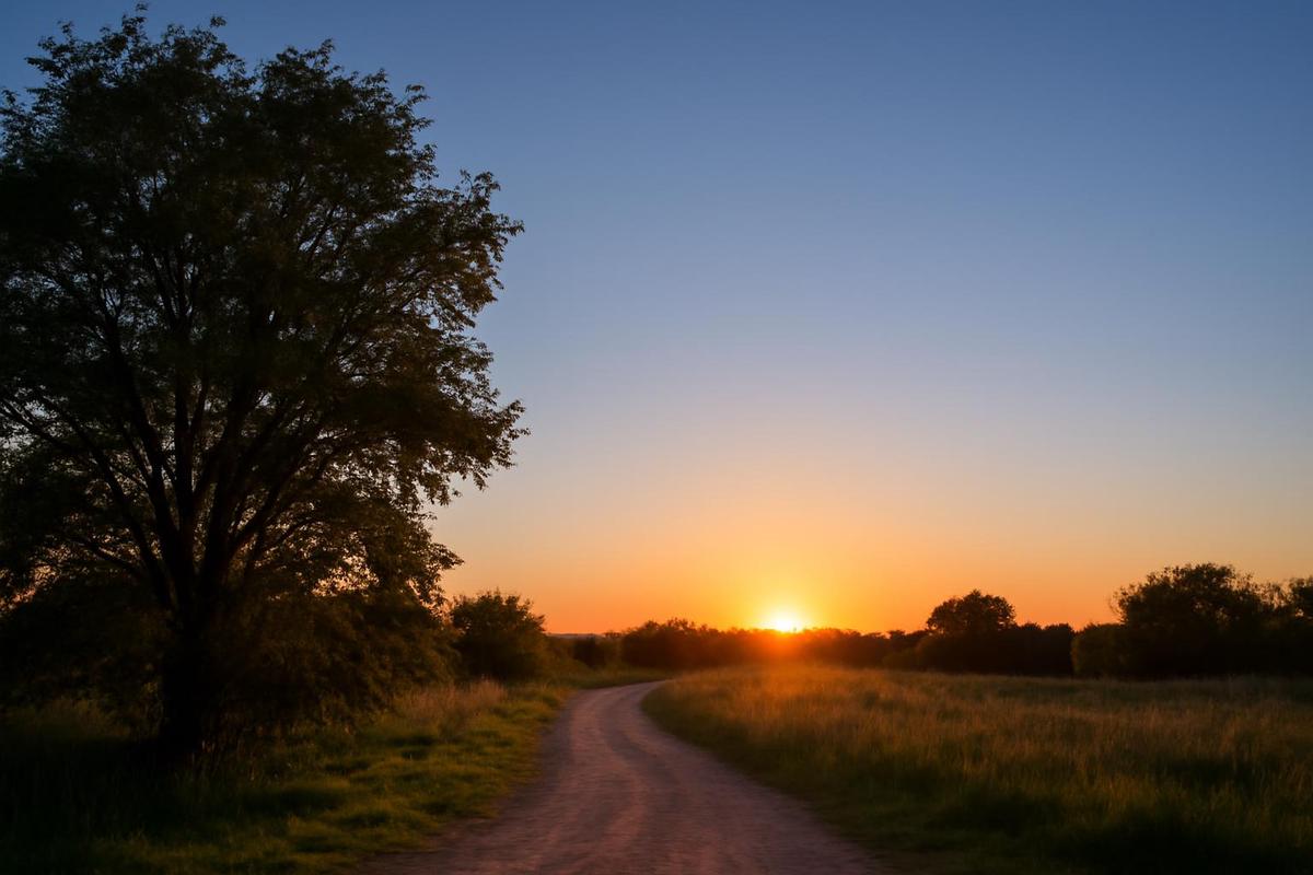 Clima en Córdoba: pronóstico del tiempo para el 8 de diciembre