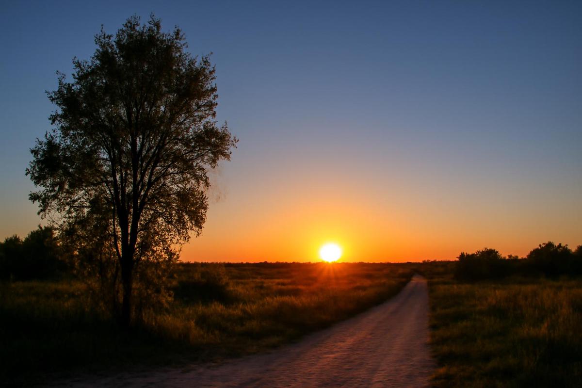 Clima en Mendoza: pronóstico del tiempo para el 4 de diciembre