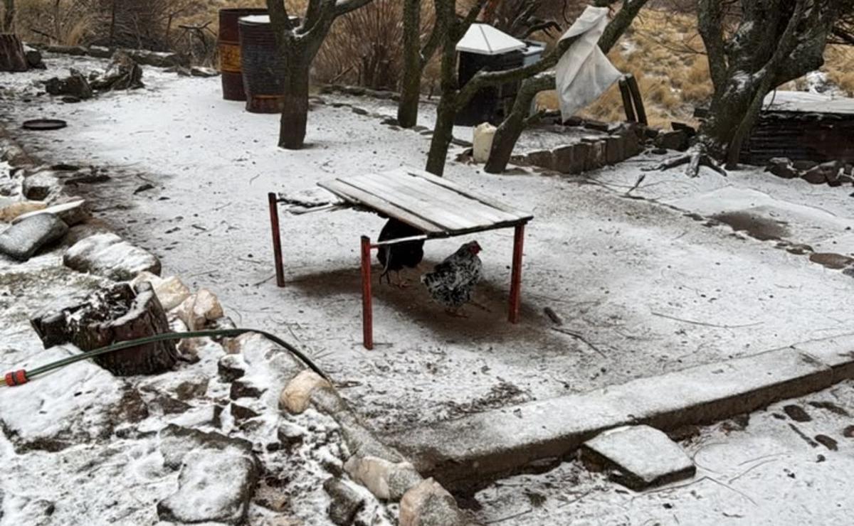 Comenzó a nevar en las Altas Cumbres.