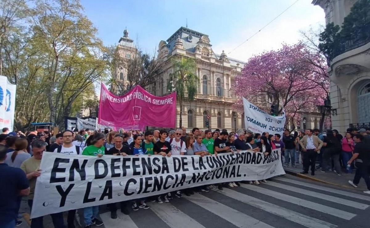 Marcha federal universitaria en Rosario.