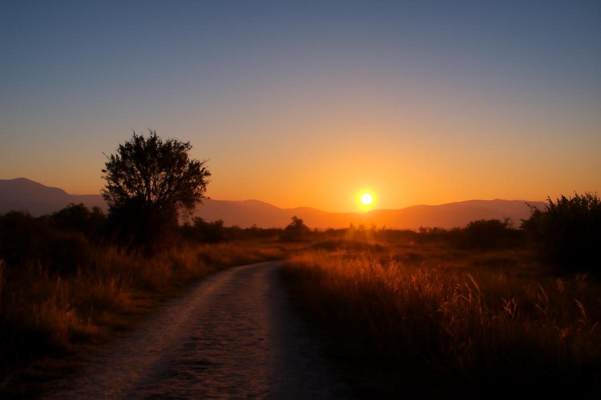 Clima en Salta: pronóstico del tiempo para el 31 de julio