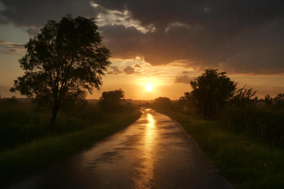 Clima en Rosario: lluvias ligeras y temperaturas suaves para hoy