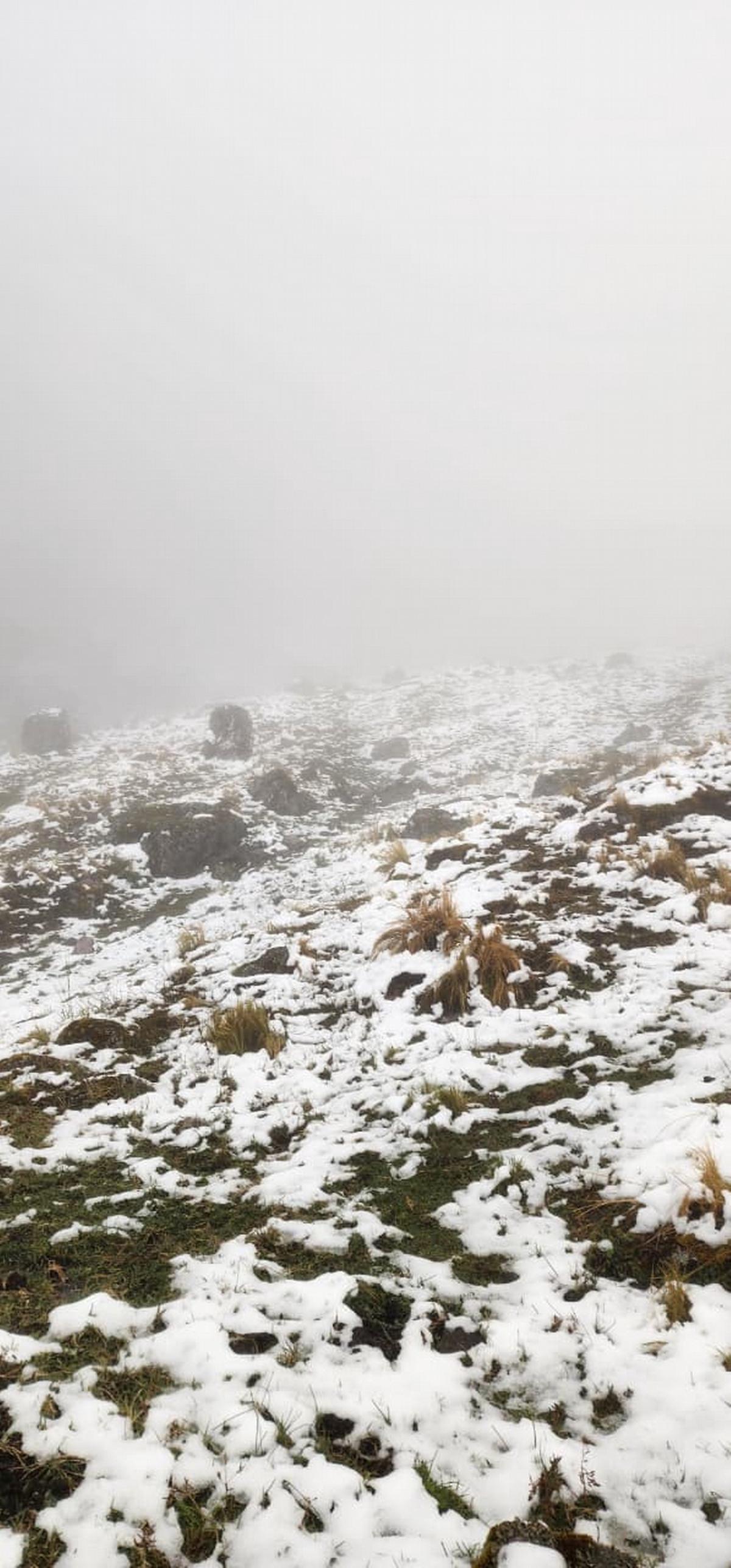 La nieve sorprendió a los cerros de Jujuy.