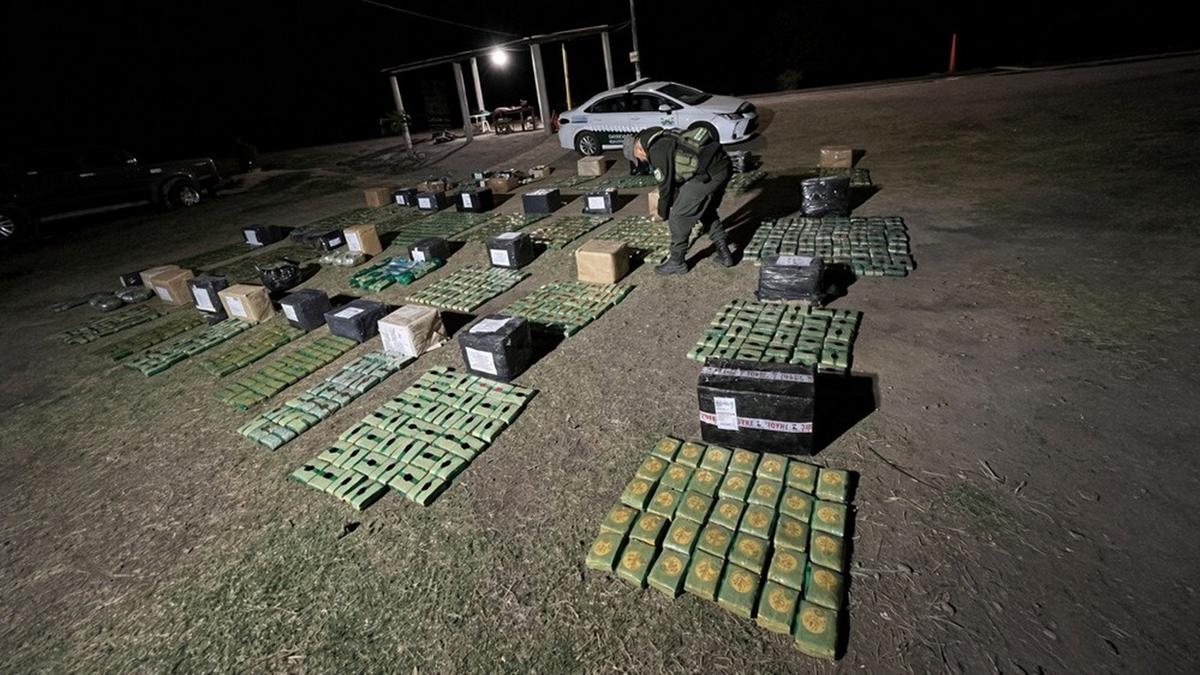 Más de 330 kilogramos de hojas de coca fueron incautados en un operativo