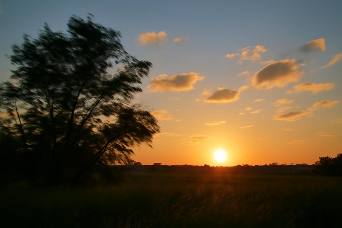 Clima en Córdoba: pronóstico del tiempo para el 11 de diciembre