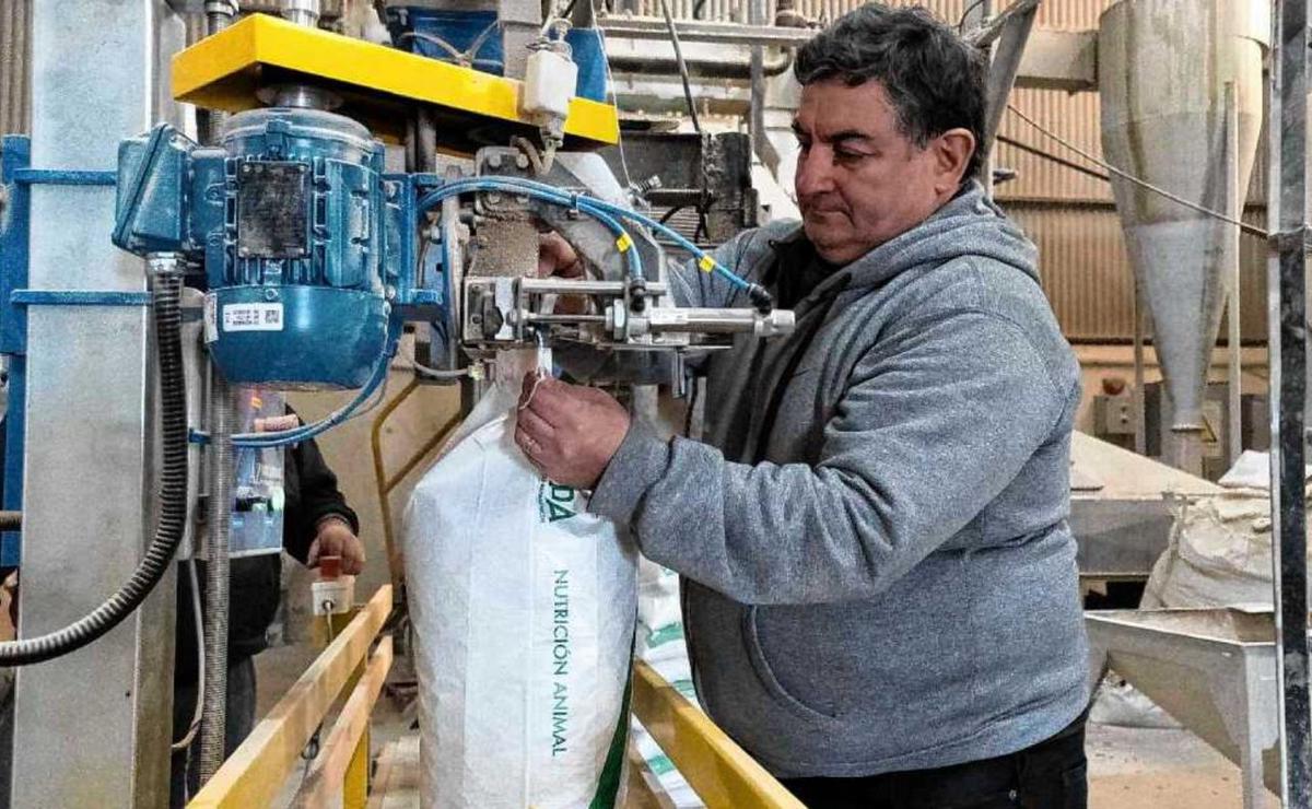 Víctor Lovera fundó Agroinsumos Patagónicos en Zapala en 2009. (Gentileza Diario Río Negro)