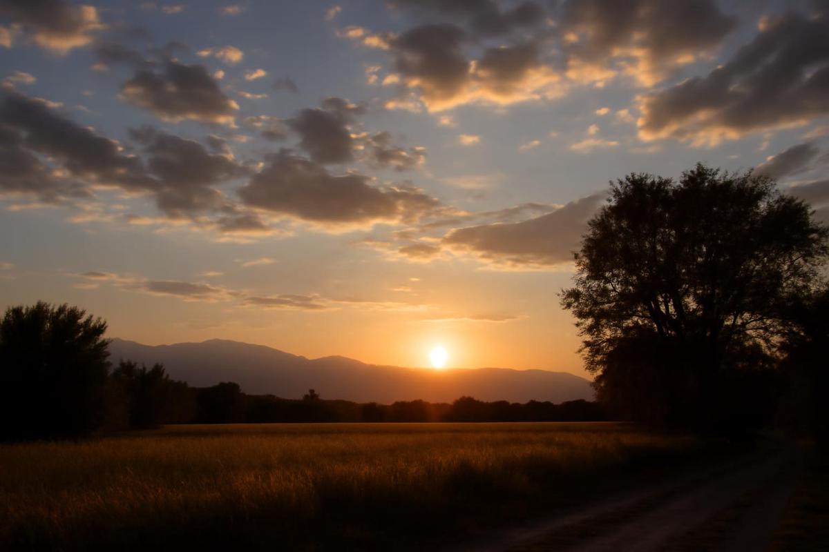 Clima en Mendoza: pronóstico del tiempo para el 5 de abril
