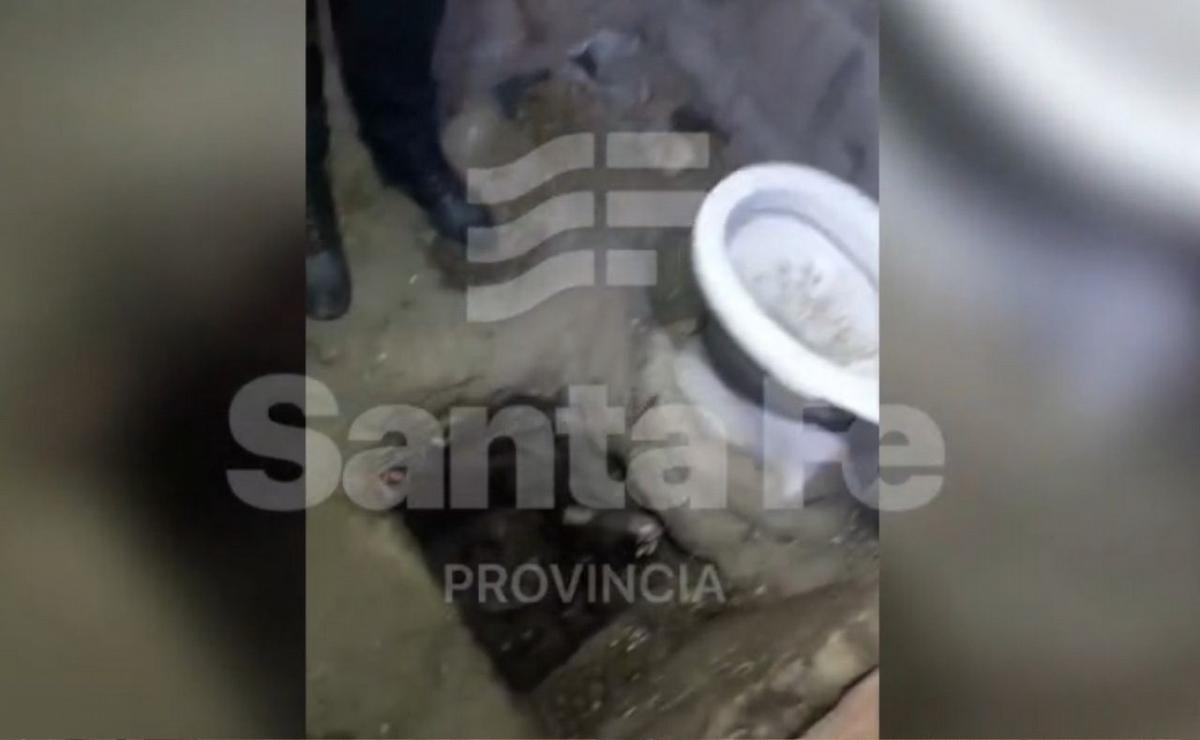 Captura de video: El momento del hallazgo del túnel en la cárcel.