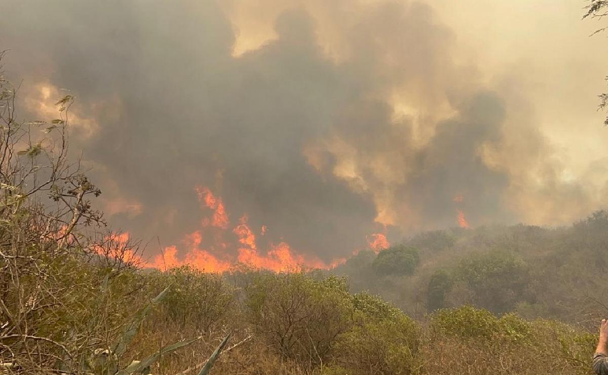 FOTO: Voraz incendio en Los Cocos. (Foto: Daniel Cáceres/Cadena 3)