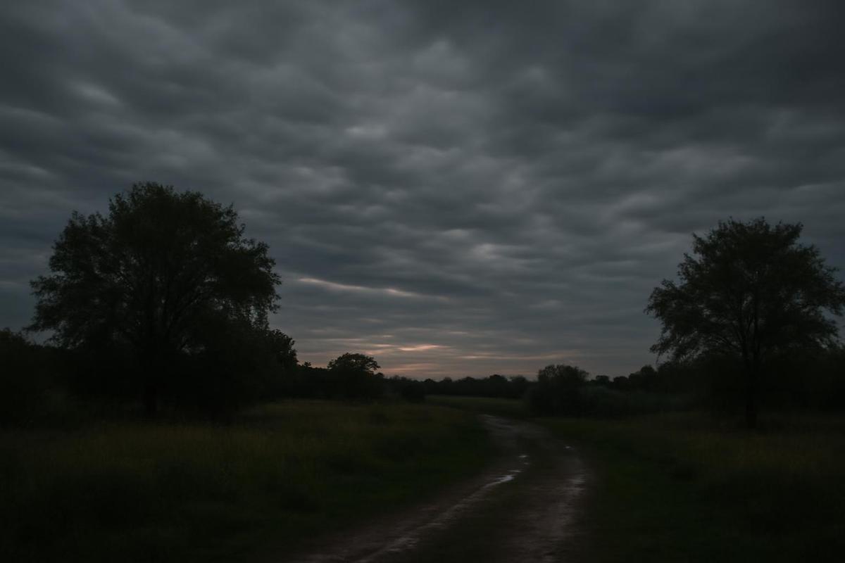 Clima en Santa Fe: cómo estará el tiempo este miércoles 22 de julio