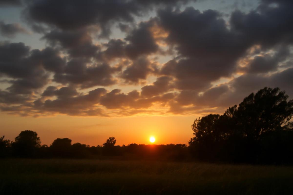 Clima en Salta: pronóstico del tiempo para el 21 de noviembre