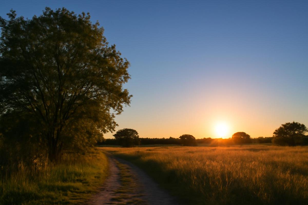 Clima en Tucumán: pronóstico del tiempo para el 16 de diciembre