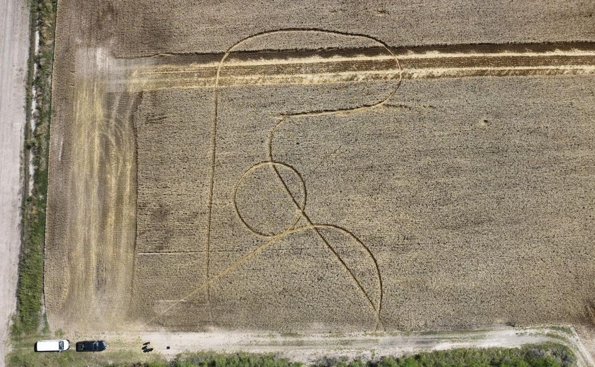 La curiosa imagen del campo.