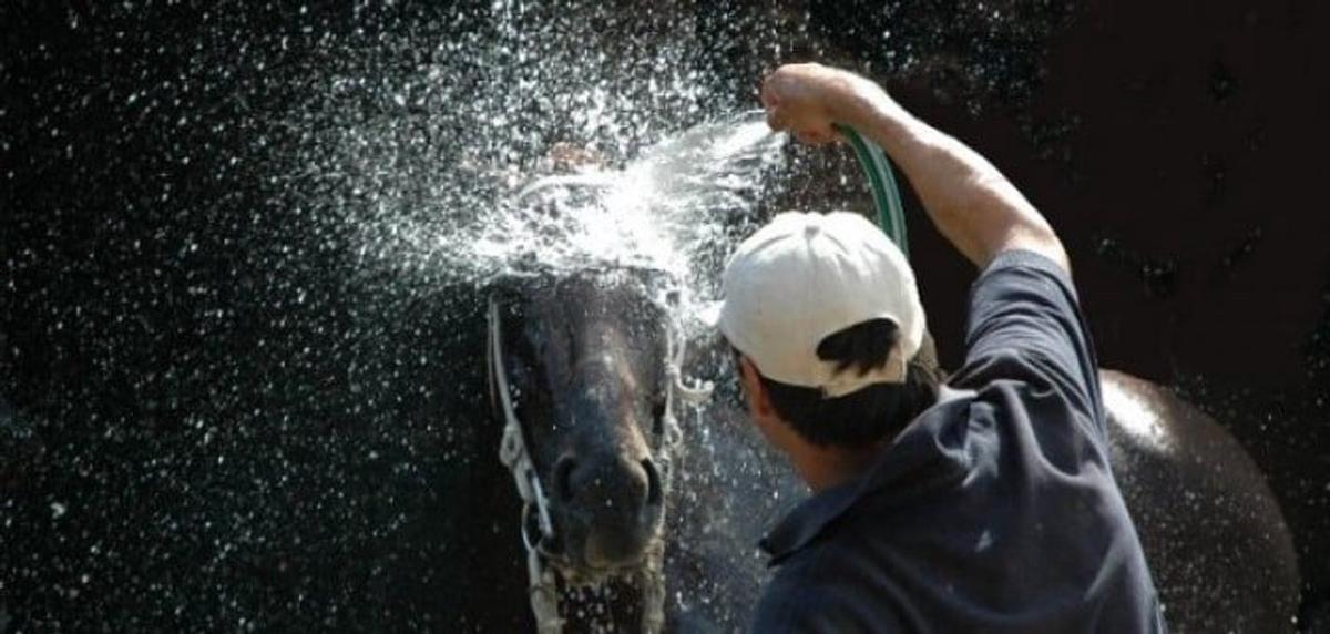 La hípica del interior tiene otra cita en Palermo