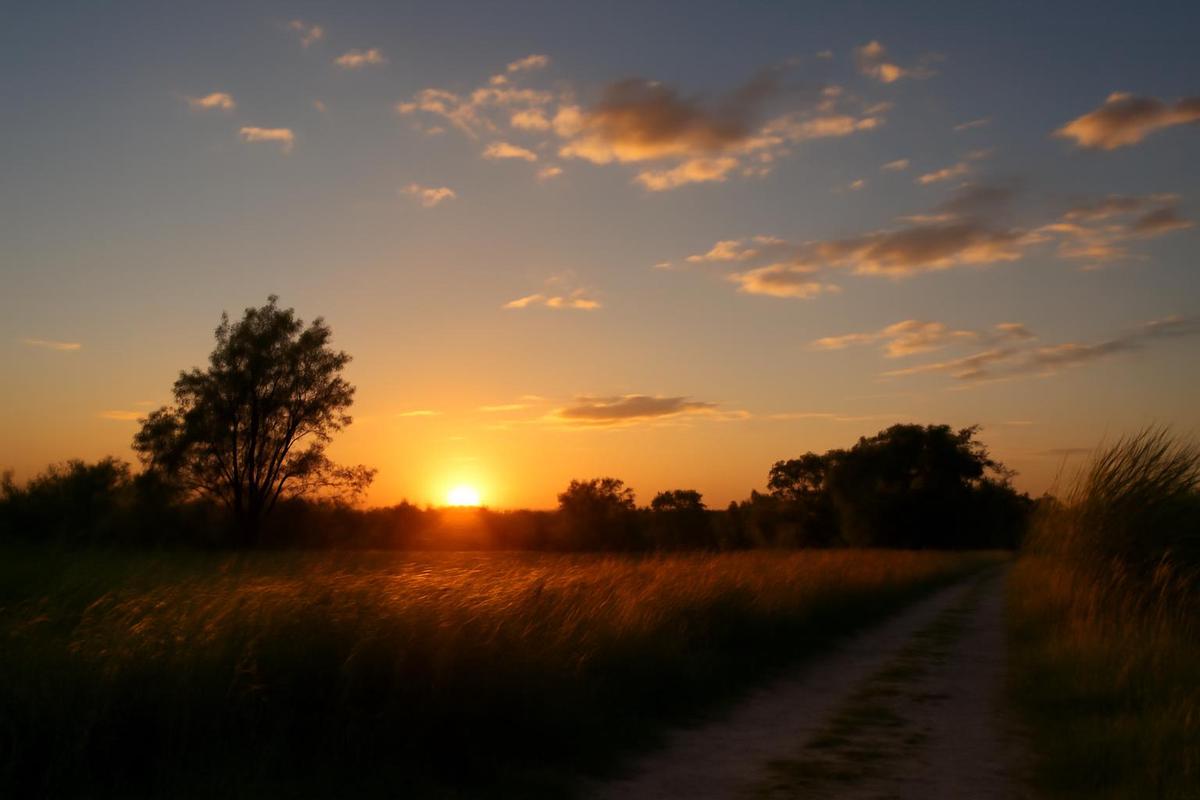 Clima en Salta: pronóstico del tiempo para el 21 de septiembre
