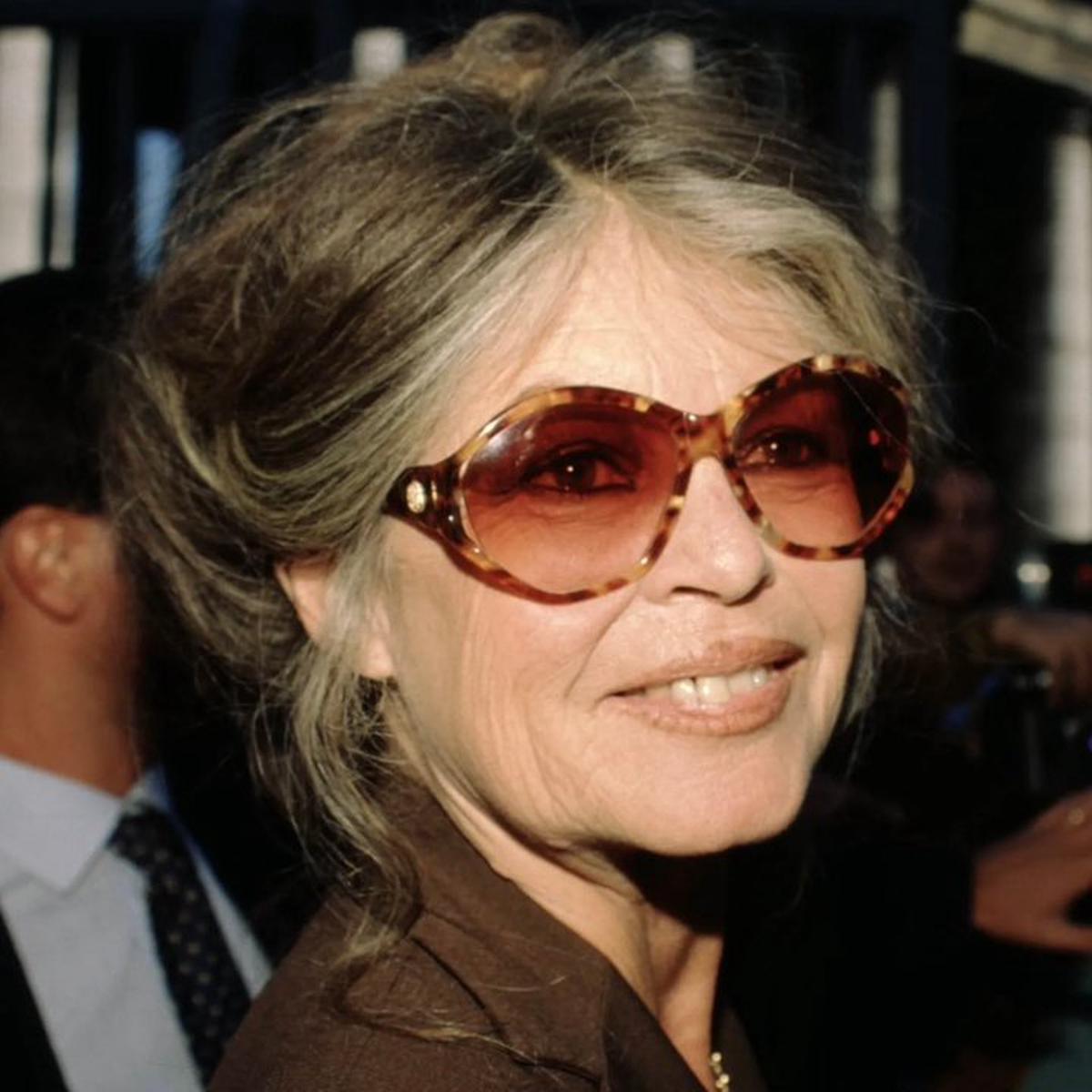 La icónica Brigitte Bardot. Foto: Agencia NA (redes)