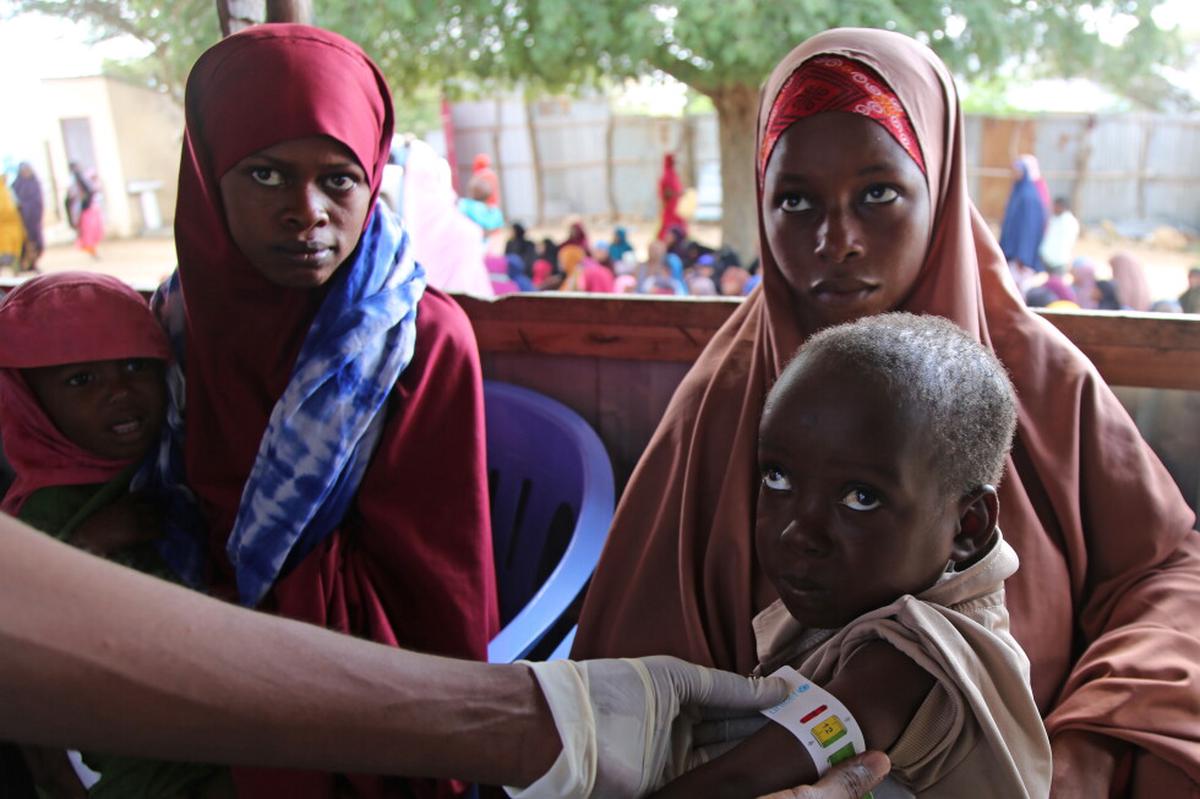 Seis millones de personas en Somalia enfrentan inseguridad alimentaria aguda, dice la ONU