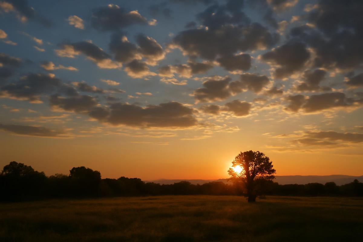 Clima en Salta: pronóstico del tiempo para el 23 de agosto