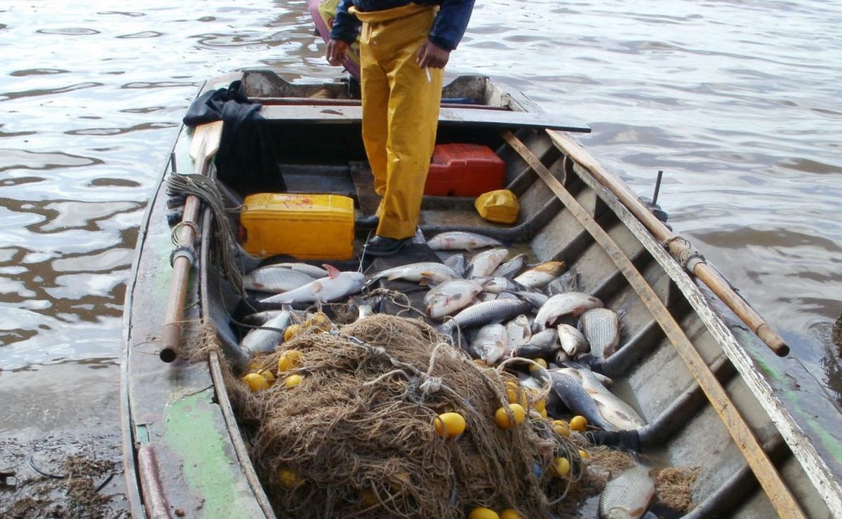 La pesca creció más del 100% en los primeros meses de 2025 e impulsó el promedio.