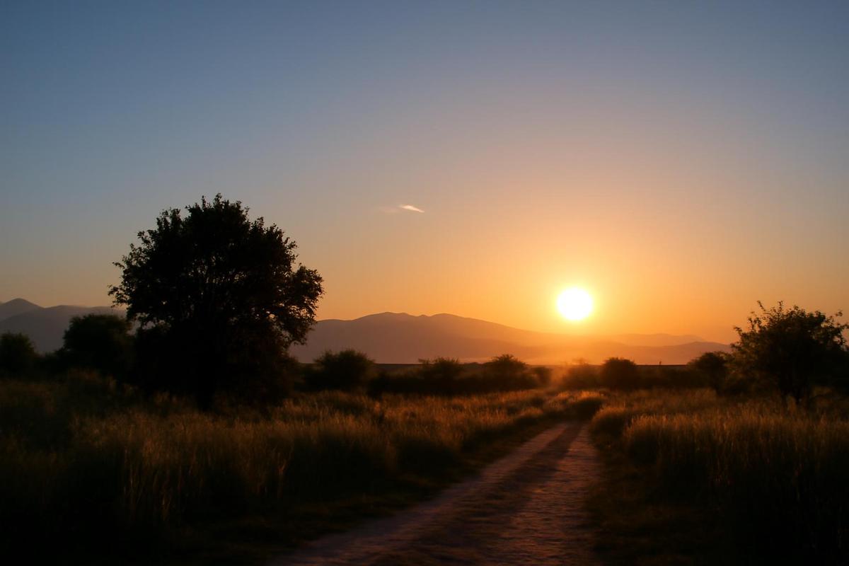 Clima en Salta: pronóstico del tiempo para el 14 de julio