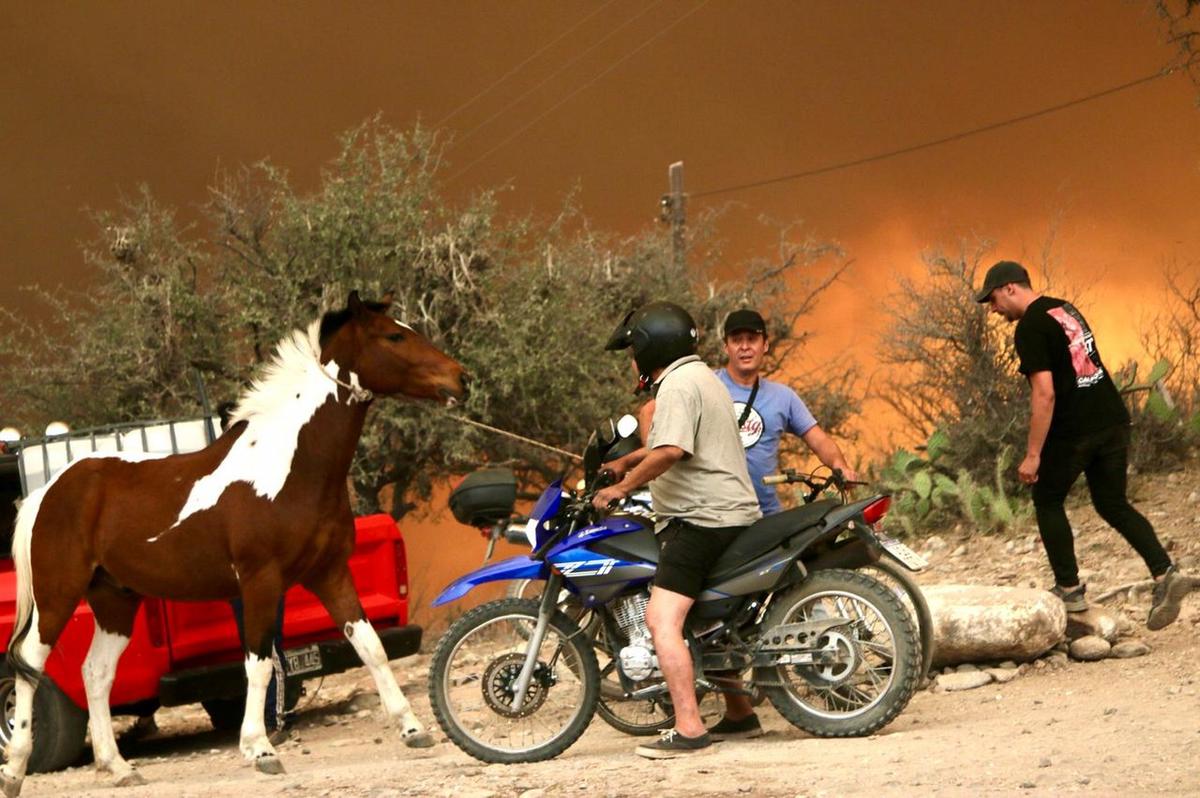 FOTO: Desasosiego. Muchos productores lo pierden todo, una vez más. 