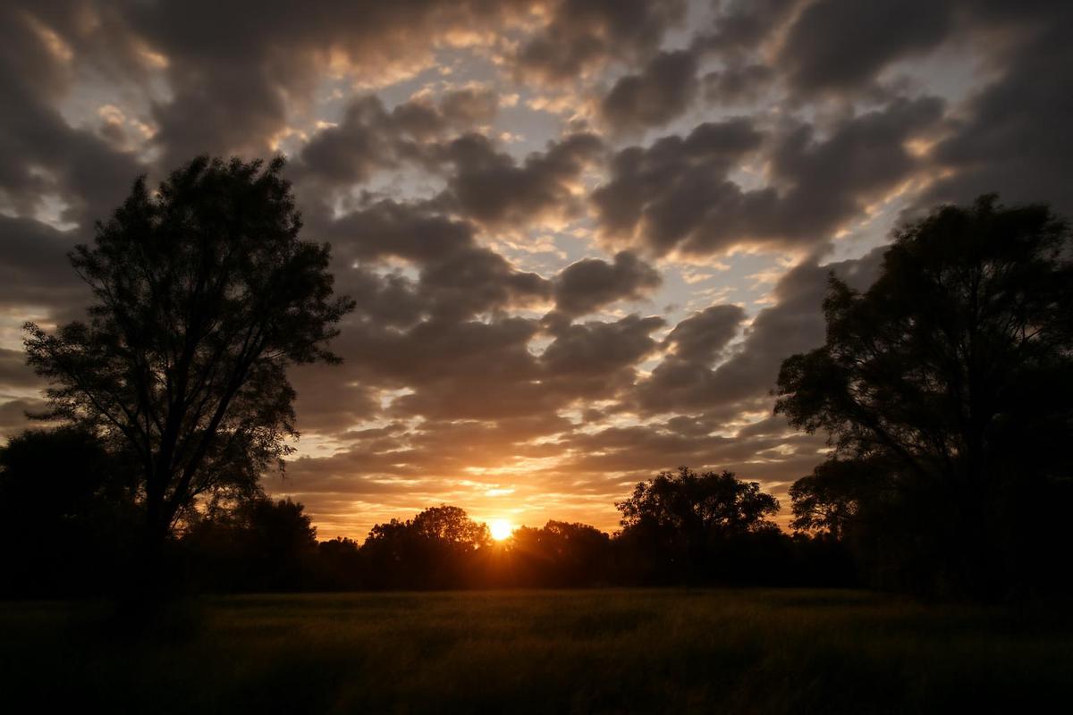 Clima en Córdoba: pronóstico del tiempo para el jueves 28 de mayo