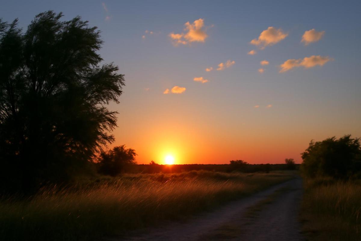 Clima en Mendoza: pronóstico del tiempo para el 5 de diciembre