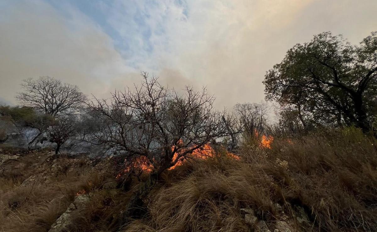 FOTO: Incendio en Córdoba (Foto: Daniel Cáceres/Cadena 3)