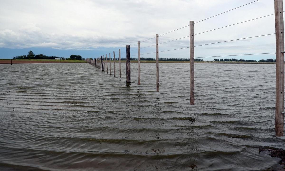 Esta póliza inédita para el país incluirá dentro de sus coberturas, la inundación