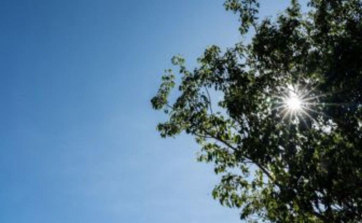 El SMN prevé una jornada fría, con una máxima de apenas 12 grados.