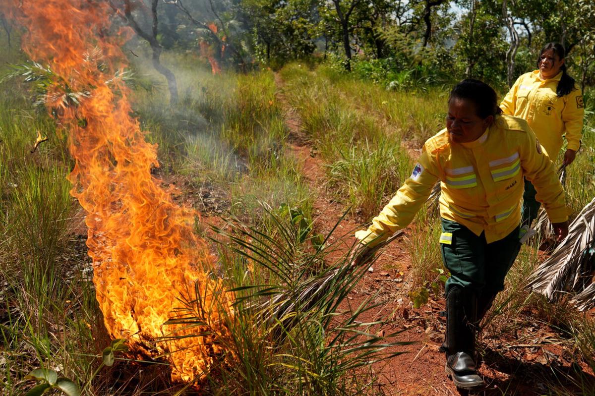 En la región Cerrado de Brasil, prácticas indígenas transforman la estrategia contra incendios