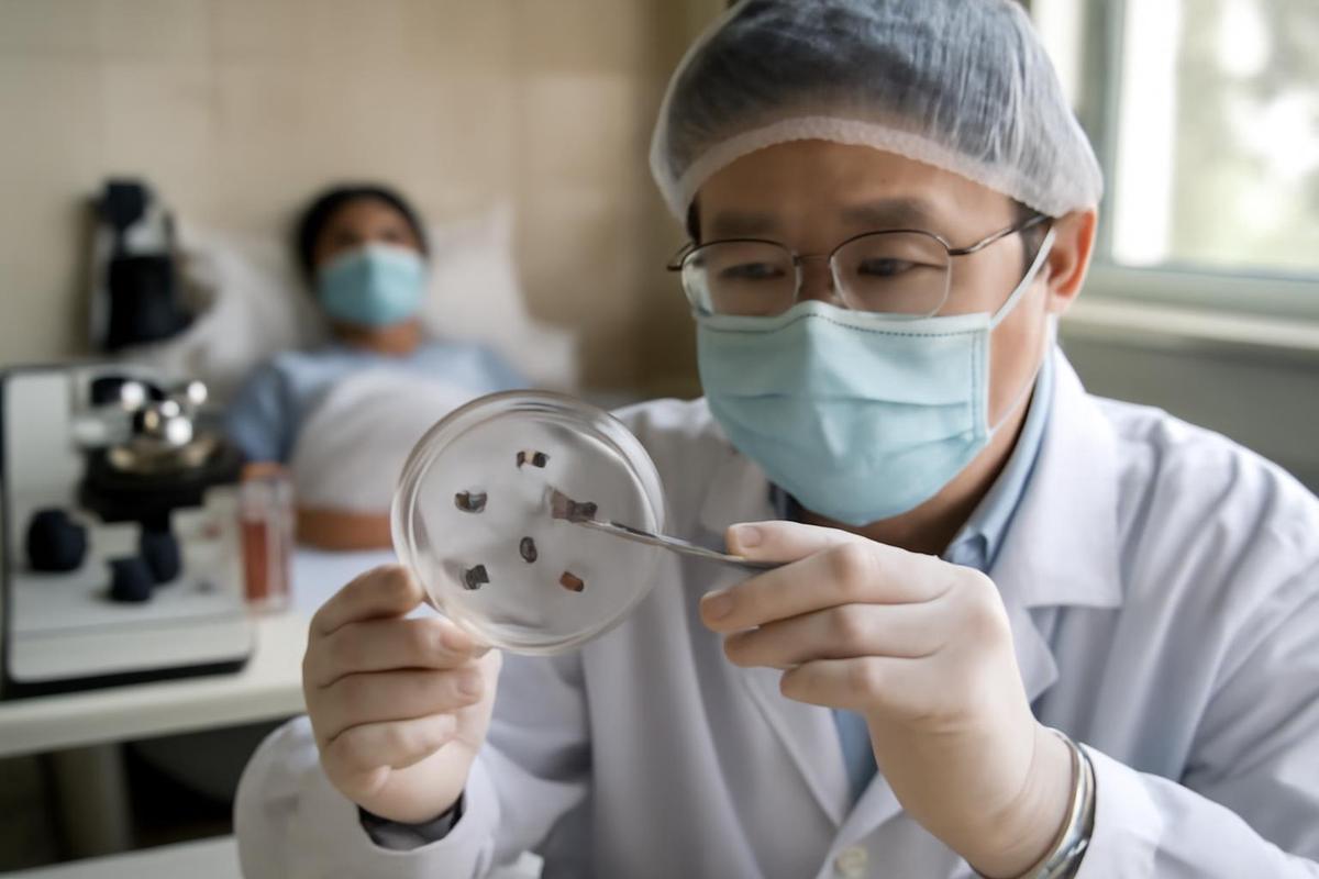 Nuevo virus transmitido por garrapatas descubierto en China