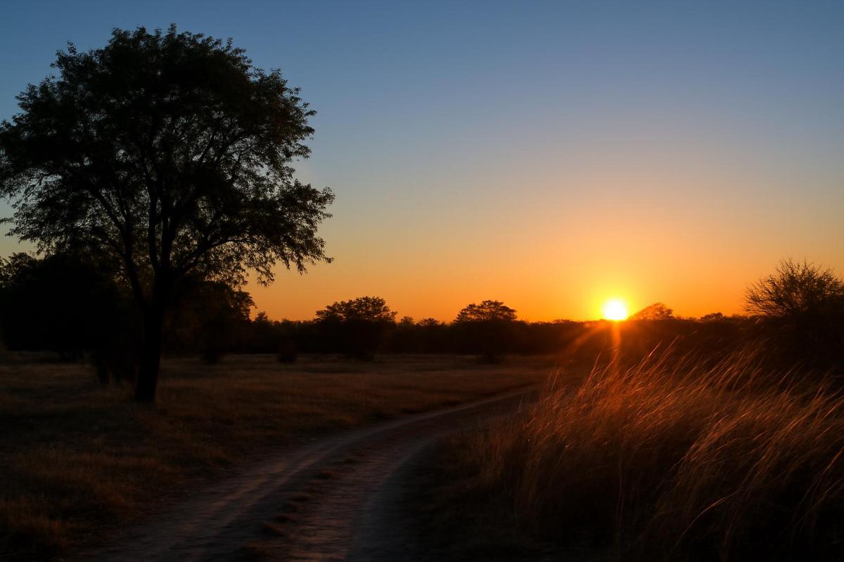 Clima en Tucumán: pronóstico del tiempo para el 20 de agosto