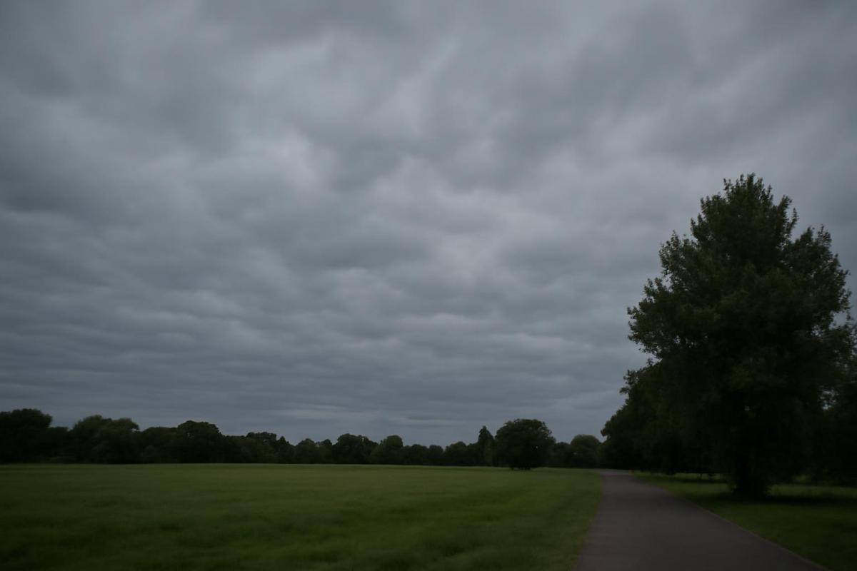 Clima en CABA: pronóstico del tiempo para el 15 de julio