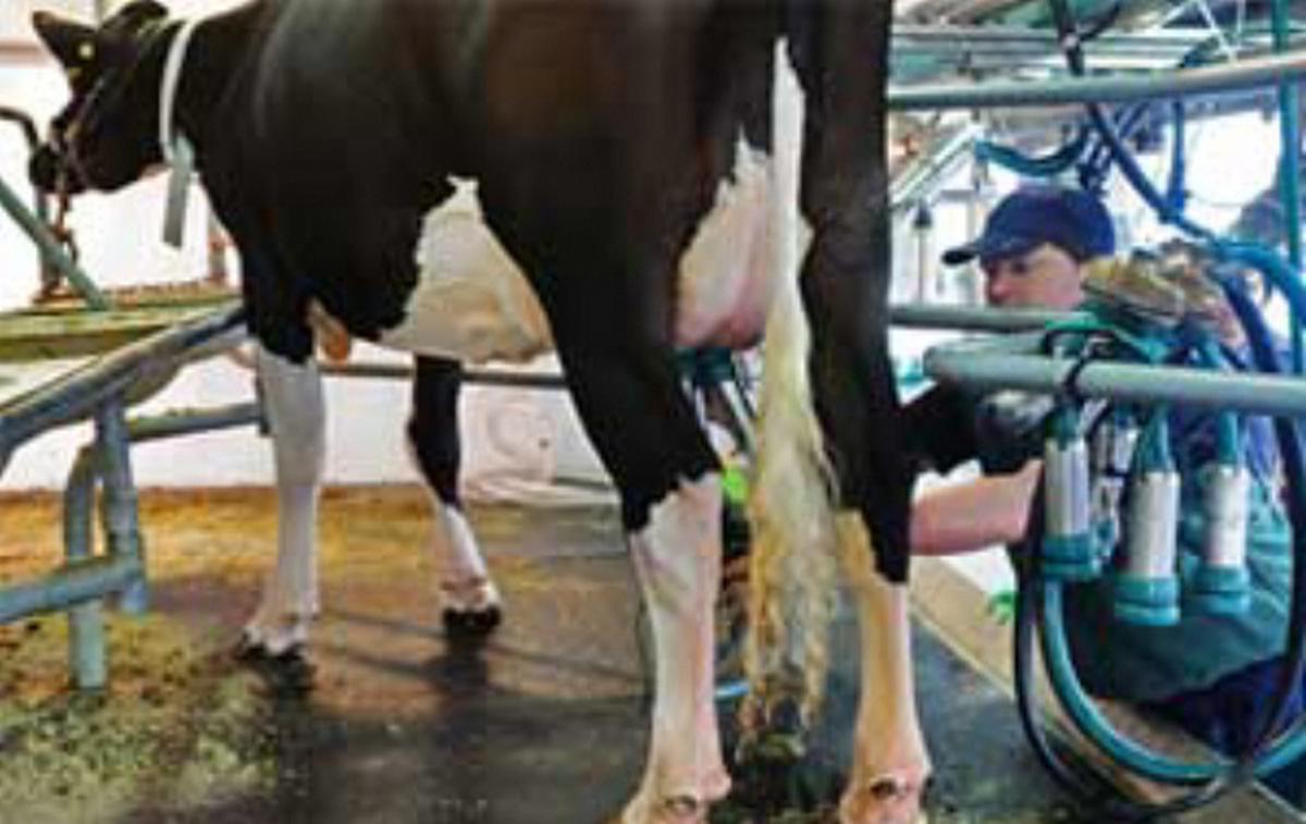 La industria láctea observa una recuperación en consumo de productos desde julio.